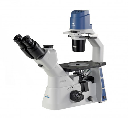 EXI-310 Trinocular Microscope with Plan Phase Objectives