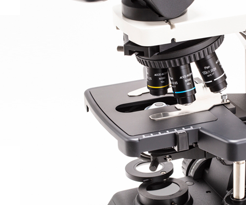 Upright Microscopes