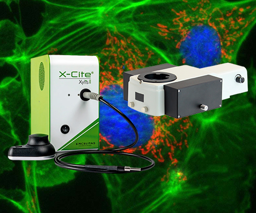 Fluorescence Illuminators