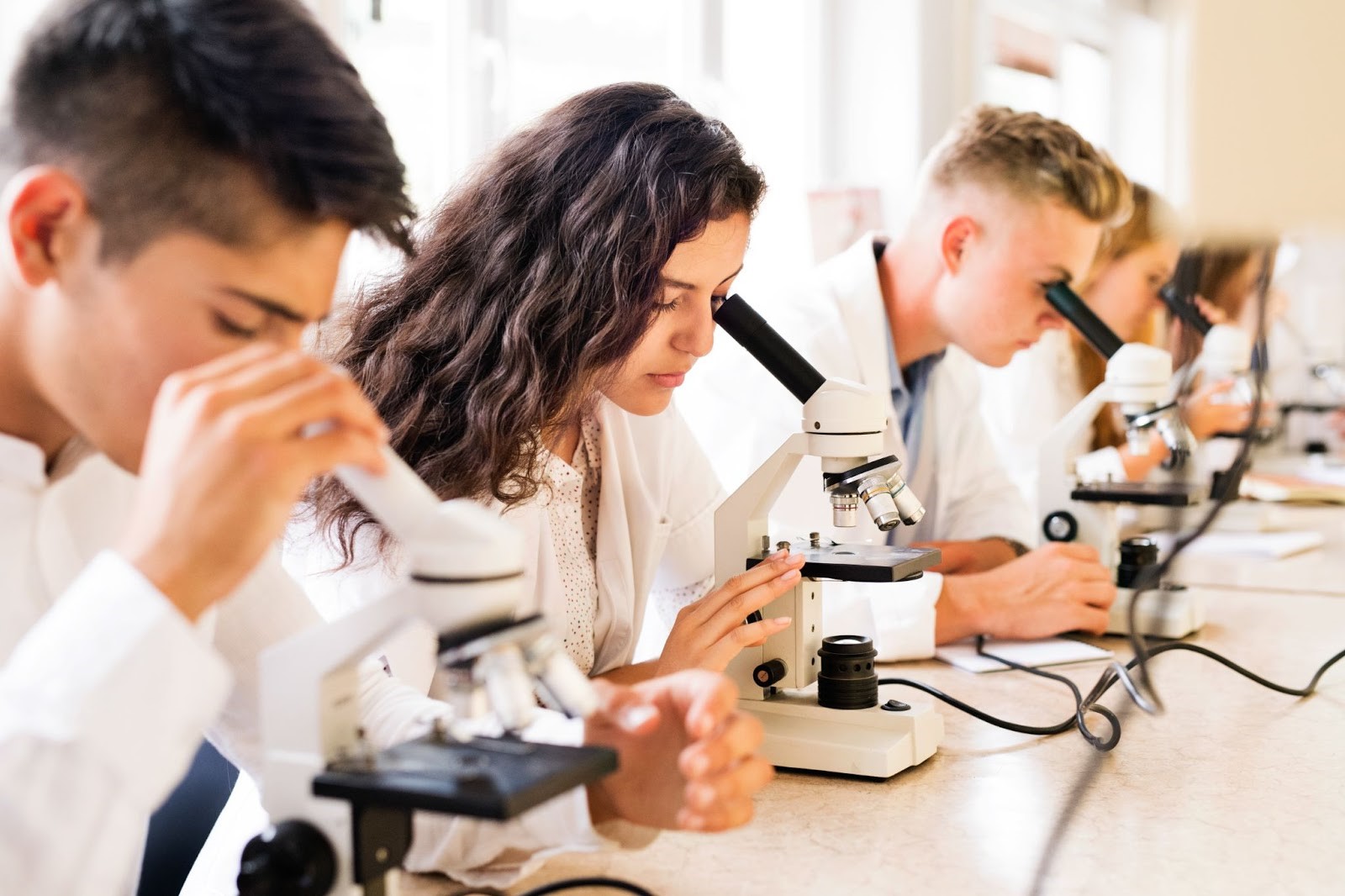What to Consider When Investing in Microscopes for Education