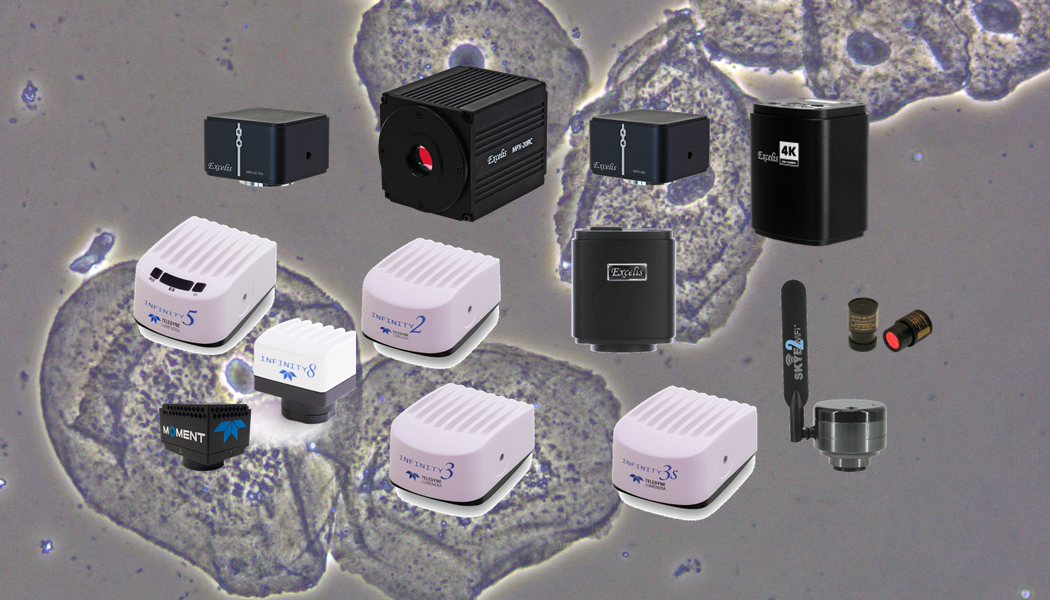 Top Considerations When Buying A Microscopy Camera, PART 5:  Noise in Cameras