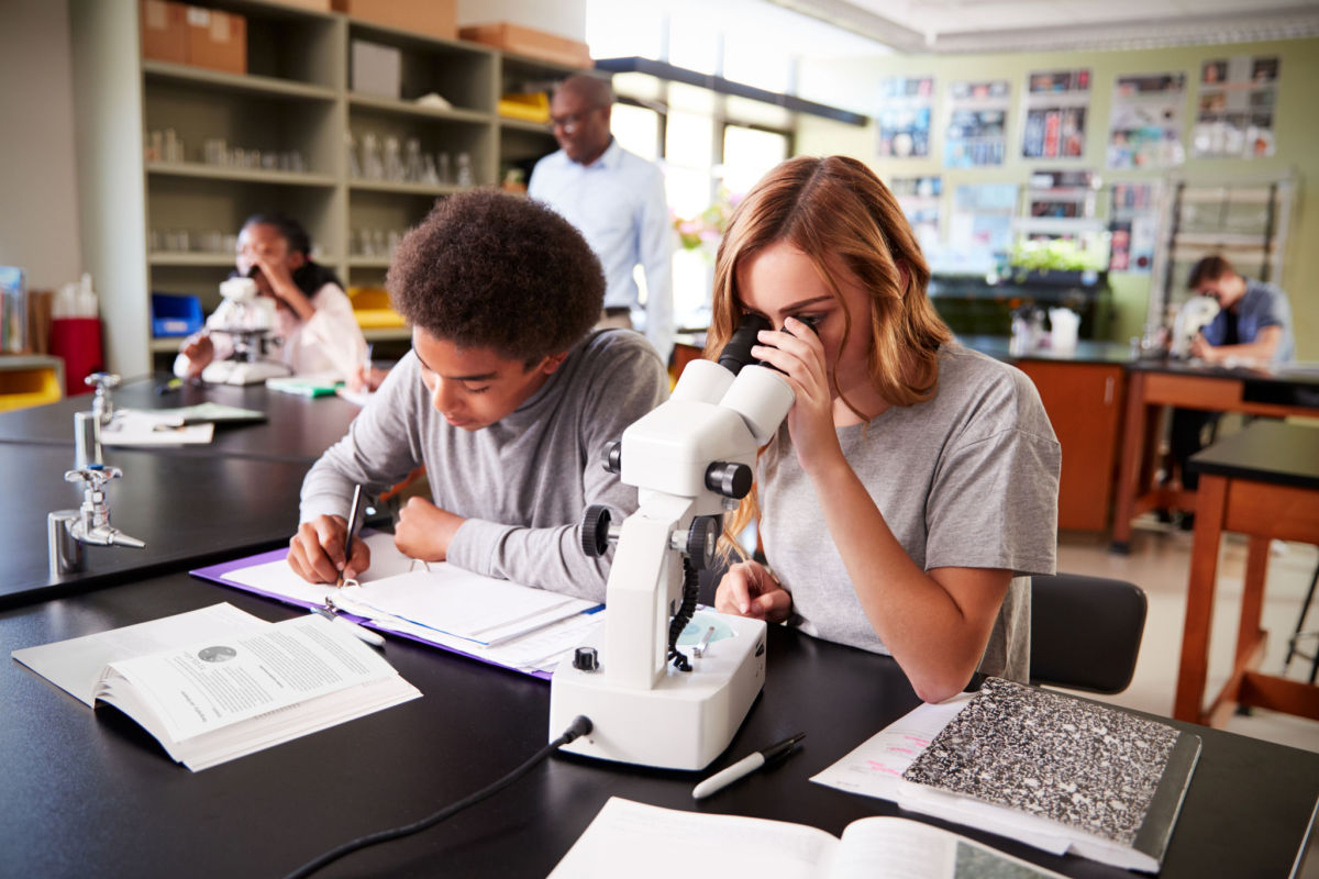 The Best Microscopes for Educational Environments